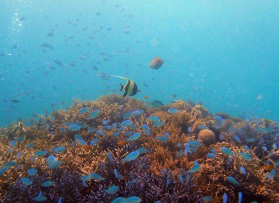 فندق Taketomijima Sourya المظهر الخارجي الصورة
